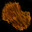 Beaver fur