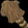 Raccoon fur