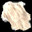 Polar Bear Fur