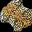 Leopard fur
