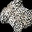 Snow Leopard fur