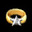 Ring of Kusamura