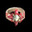 Ring of SRM