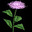 Valerian