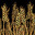 Wheat