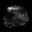 Coal