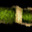 Green Snake Skin